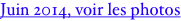 shapeimage_2_link_16